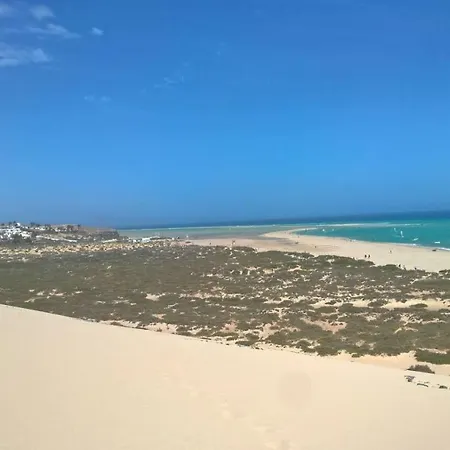 Your Ocean
