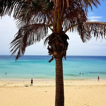 Your Ocean * Κόστα Κάλμα