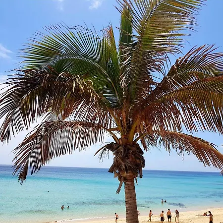 Your Ocean Κόστα Κάλμα