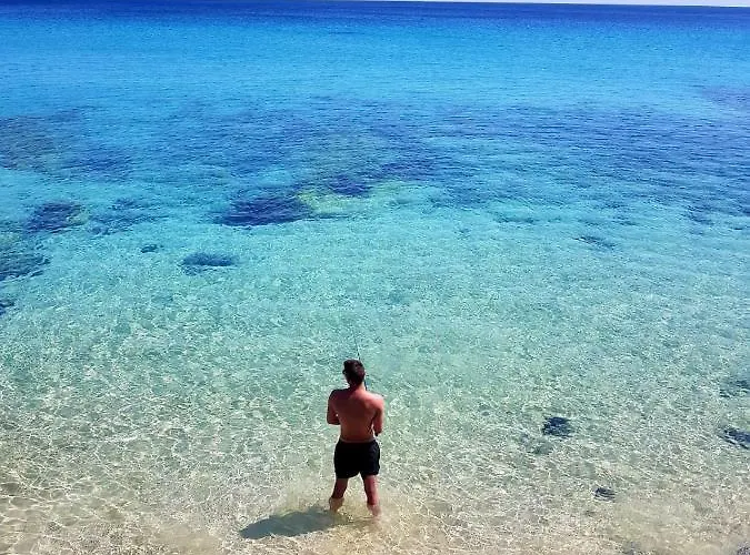 Your Ocean